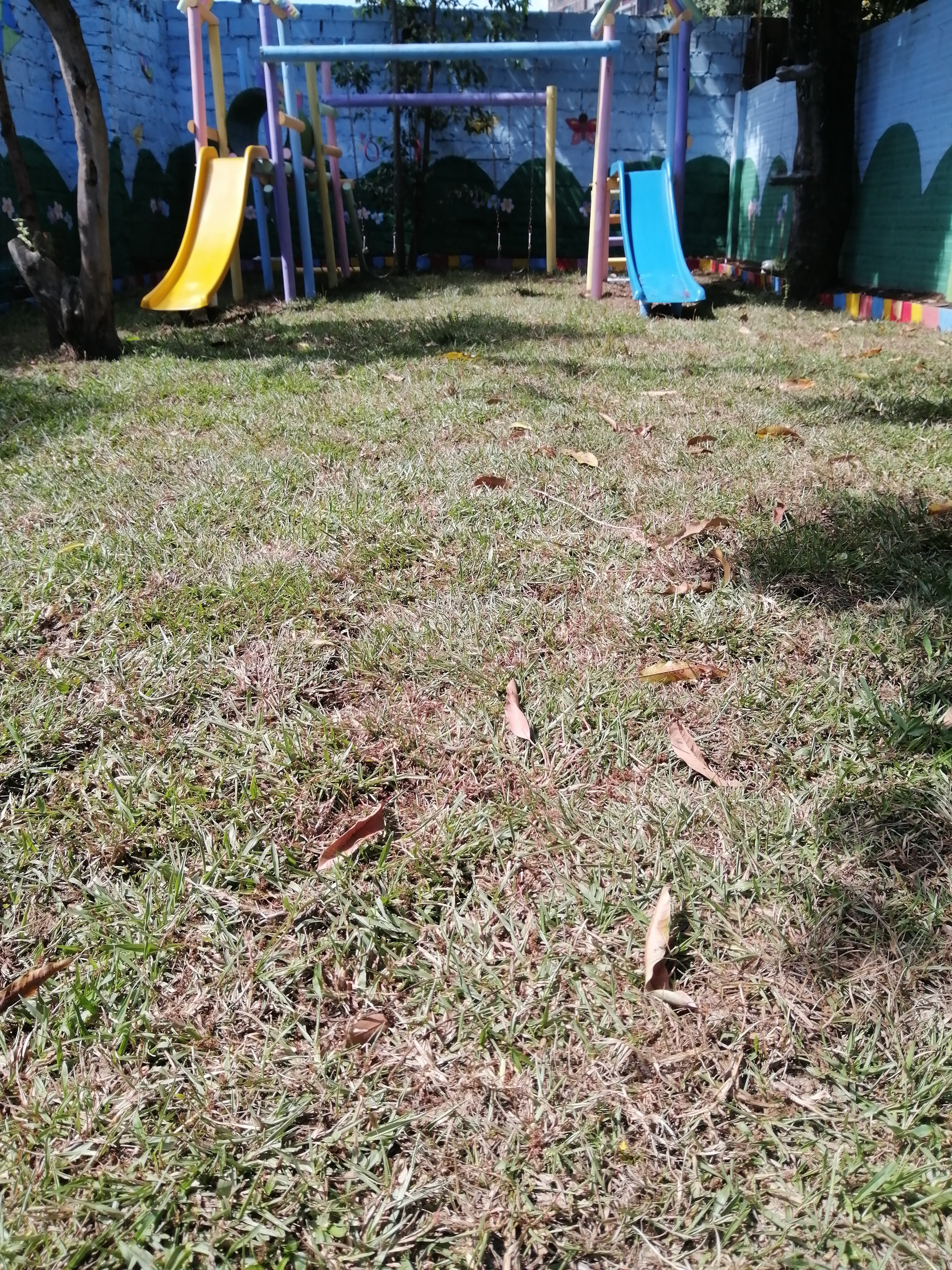 Área de Campamento - Sede Fontidueño